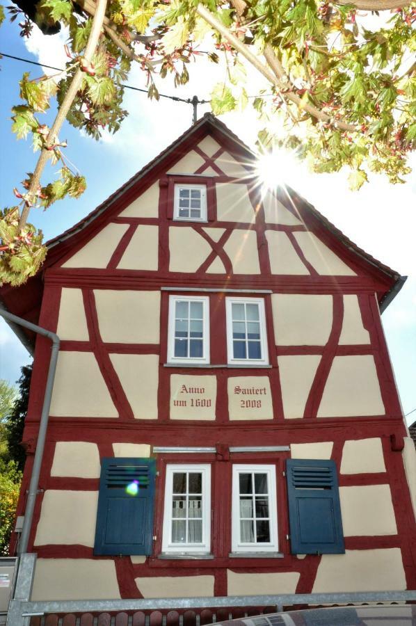 Apartmenthaus Am Zimmerplatz Хофхайм ам Таунус Екстериор снимка